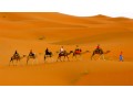 Détails : Camel Trek Bivouac