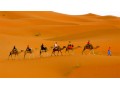 Détails : Camel Trek Bivouac