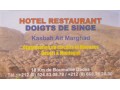 Détails : Hotel Doigts des singes 